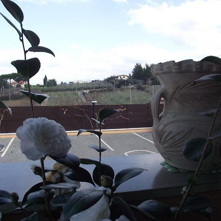 Affittacamere Stranamore Frascati Dış mekan fotoğraf