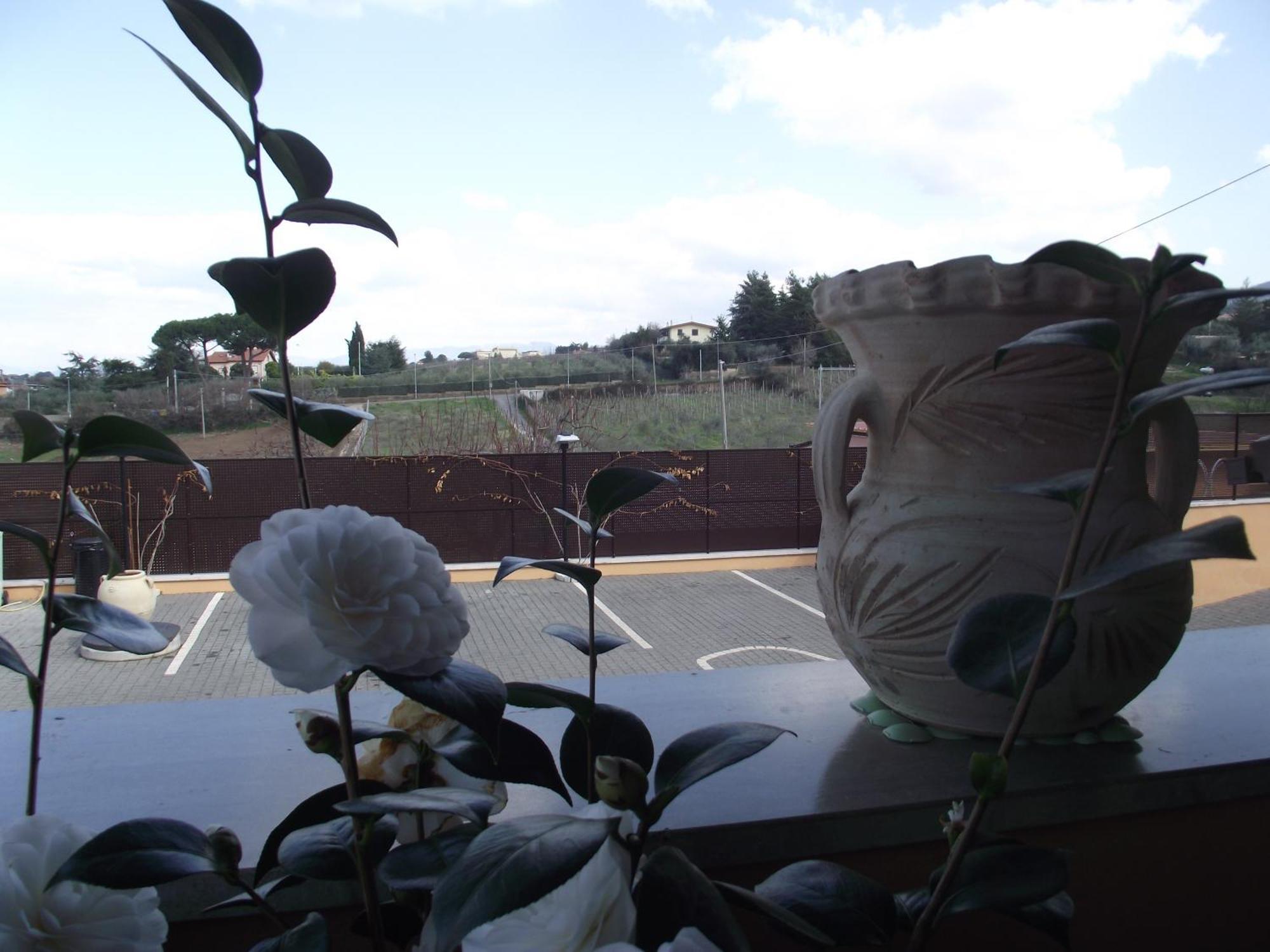 Affittacamere Stranamore Frascati Dış mekan fotoğraf